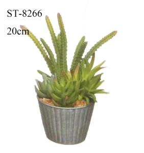 Quality 20CM Small Artificial Cactus Succulents Plant Gift Decorative Eco - Friendly wholesale