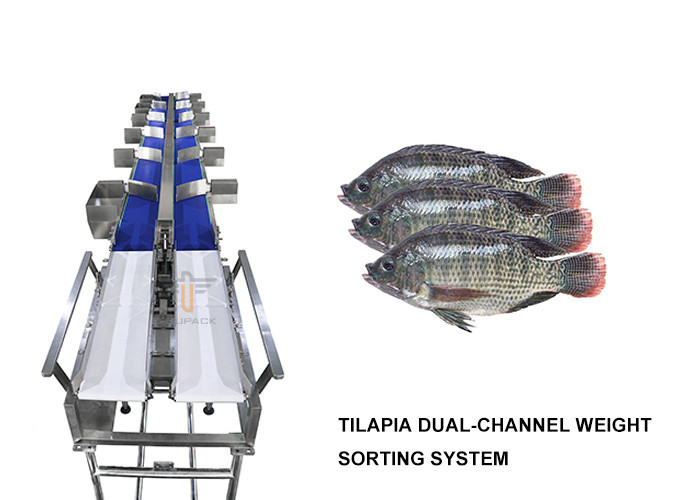 Waterproof 12 Grades Multi Conveyor Belt Weight Sorter Machine For Fish