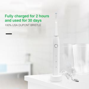 Quality SCCP Rechargeable Electric Sonic Toothbrush Ultralight IPX7 Waterproof wholesale