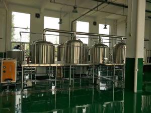 Quality Pub Microbrewery Beer Fermentation Equipment Ss Conical Fermenter 220V / 380V wholesale