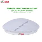 Ceiling emergency light|induction emergency light |led emergency lights|drop
