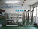 Solar Powered Containerized Water Treatment Systems RO Purifier 2500L/Hour