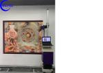 CMYK CE 720X2280DPI Wall Mural Printing Machine