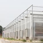 High Tunnel Venlo Automation System Polycarbonate Sheet Greenhouse For Plants