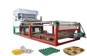 Quality Custom Made Light Industry Projects Egg Tray Production Line 149.75kw wholesale