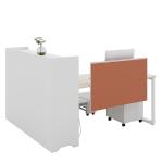 Contemporary Single-Person Office Desk Modern Steel and Wood Combination