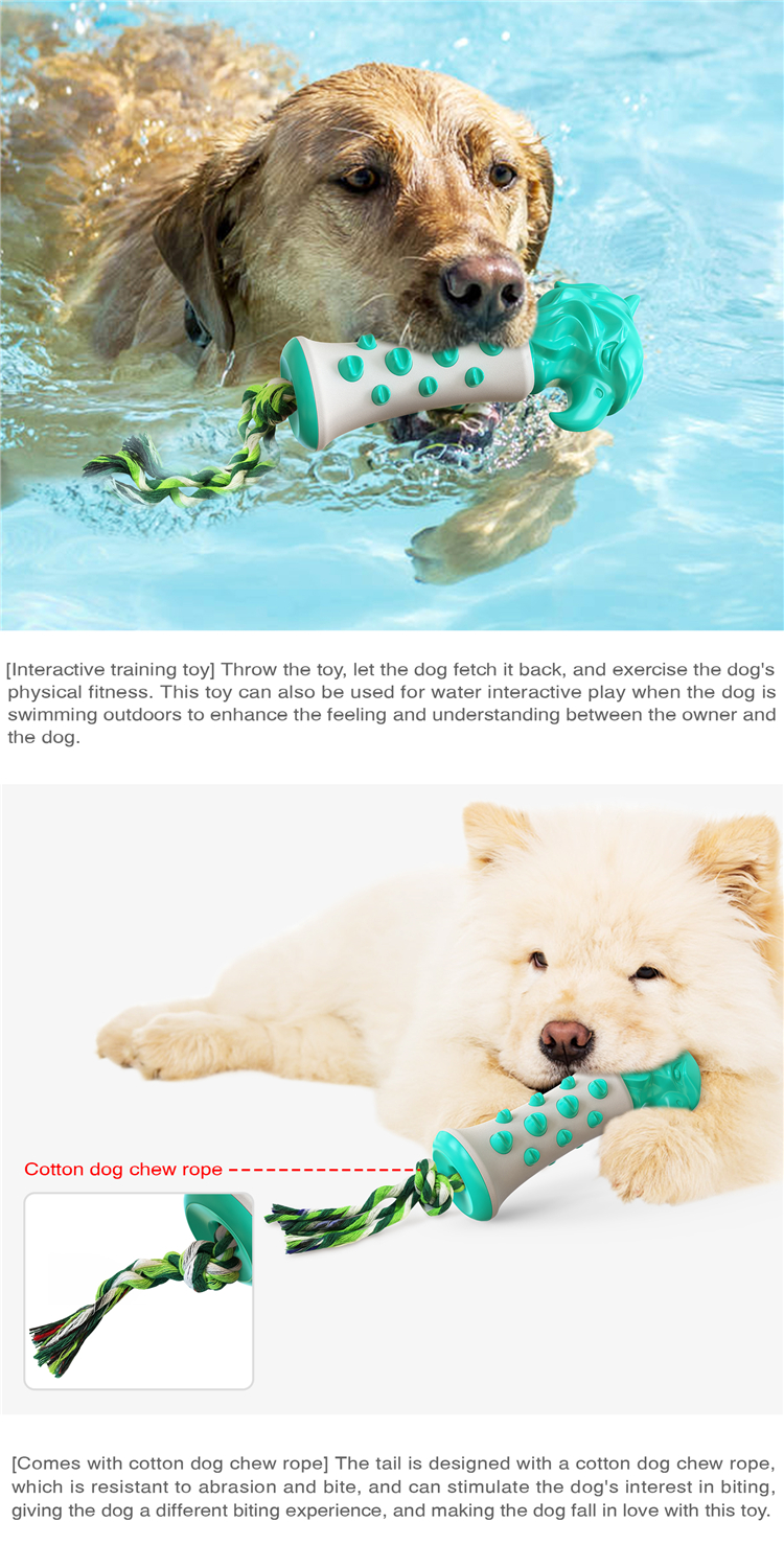 New Multifunctional Interactive Teeth-cleaning Self-playing Food Dispensing Rubber Ball Chew Aggressive Dog Chew Toy
