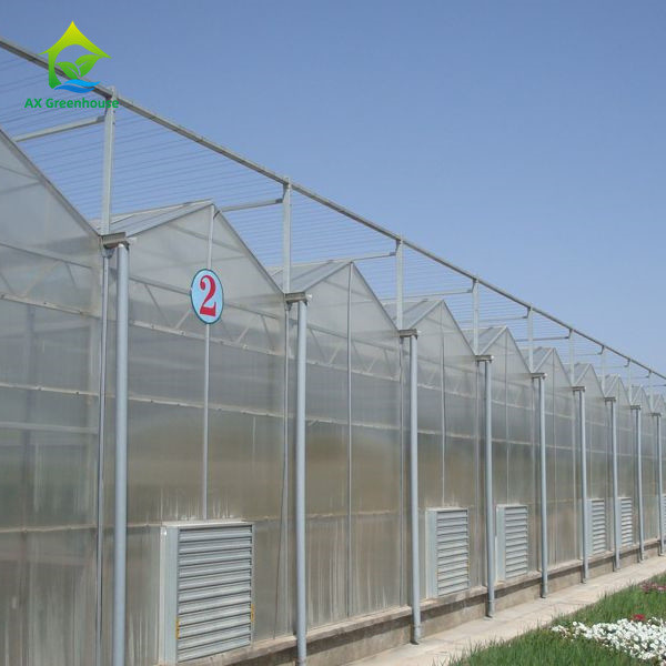 Multi-span Industrial Polycarbonate PC Sheet Tomato Fruit Hydroponic Greenhouse
