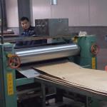 Engineered Wood Veneer Multi-Coloured Straight Grain Mc-X6933 Of Good Quality