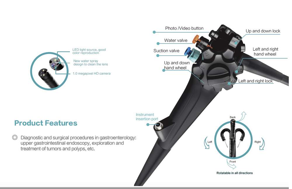 Electric Veterinary Video Gastroscope Colonoscope Flexible Medical Endoscope Camera