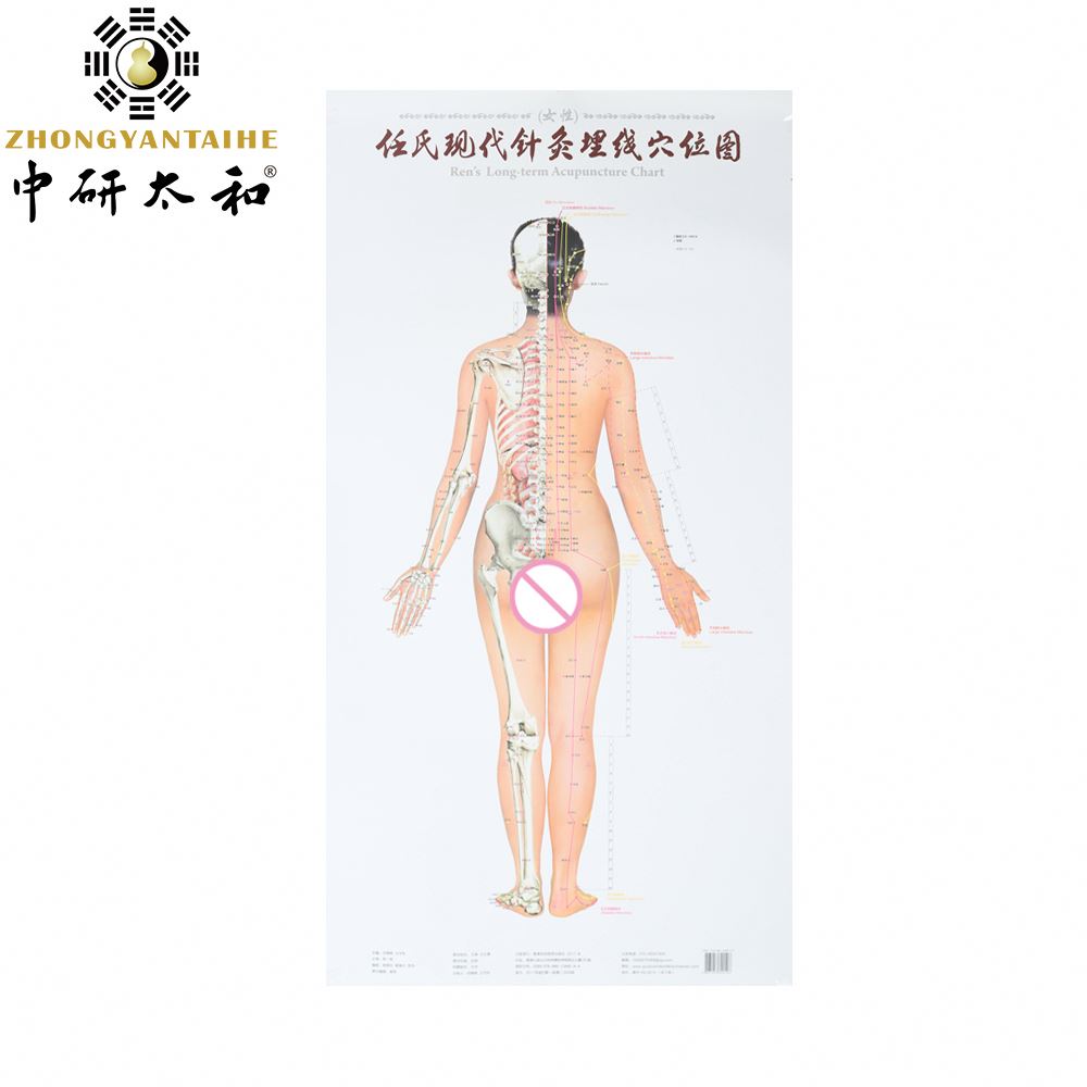 Human Body Meridian Acupuncture Culture Acupoint Acupressure Points Chart
