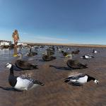 Waterproof Lifelike Silhouette Geese Decoy 1200g With Matte Black Coated Stake