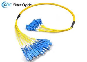 Quality 12F 24F Fiber Optic Patch Cord wholesale