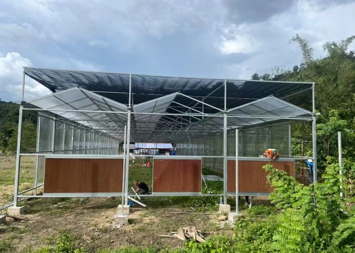 factory venlo Polycarbonate sheet farming greenhouse Multi-Span Commercial pc sheet Prefab green house overall thermal system