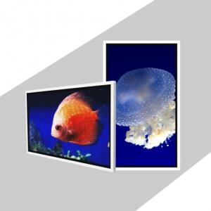 Quality TFT 49 Inch Wall Mount Digital Signage Wall Mounted Digital Advertising Screen wholesale