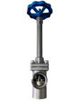 Arman Stainless Steel Manual Cryogenic Long Shaft Angle Globe Valve DN32