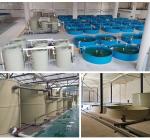 Protein Skimmer for RAS Fish Farming 600mm Barrel Diameter Micro Nano Foam
