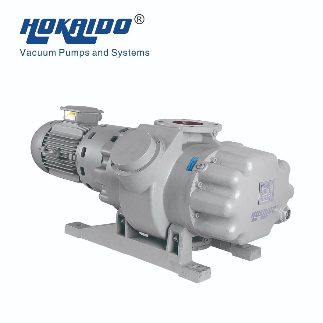 500/1000/2000m&sup3; /H Roots Vacuum Pump Booster Use in Petroleum/Chemical Engineering/Medicine/Pharmacy/Food/Spinning/Daily Use Chemical/ Resin Deaeration