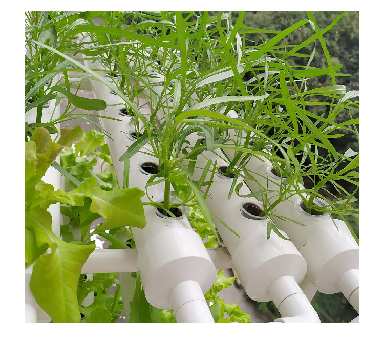 2" 3" 4" Clear Mesh Hydroponic Plant Pot Manufactured for by Plastic Injection Craft