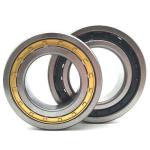 GCr15 Double Row SL014838 Cylindrical Roller Bearings