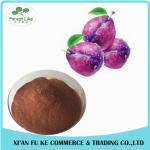 Water Soluble Dark Plum Fruit Juice Powder