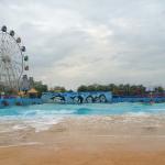International Standard Swim Wave Pool Water Park Design Customized