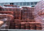 Q235 Black Annealed Tie Wire