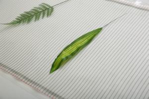 Quality White Graphene Far Infrared Heating Film Gymnasium Use / Recreation Club Use wholesale