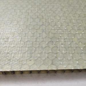 Quality Light Weight FRP Honeycomb Sandwich Panel 1000x2000mm wholesale
