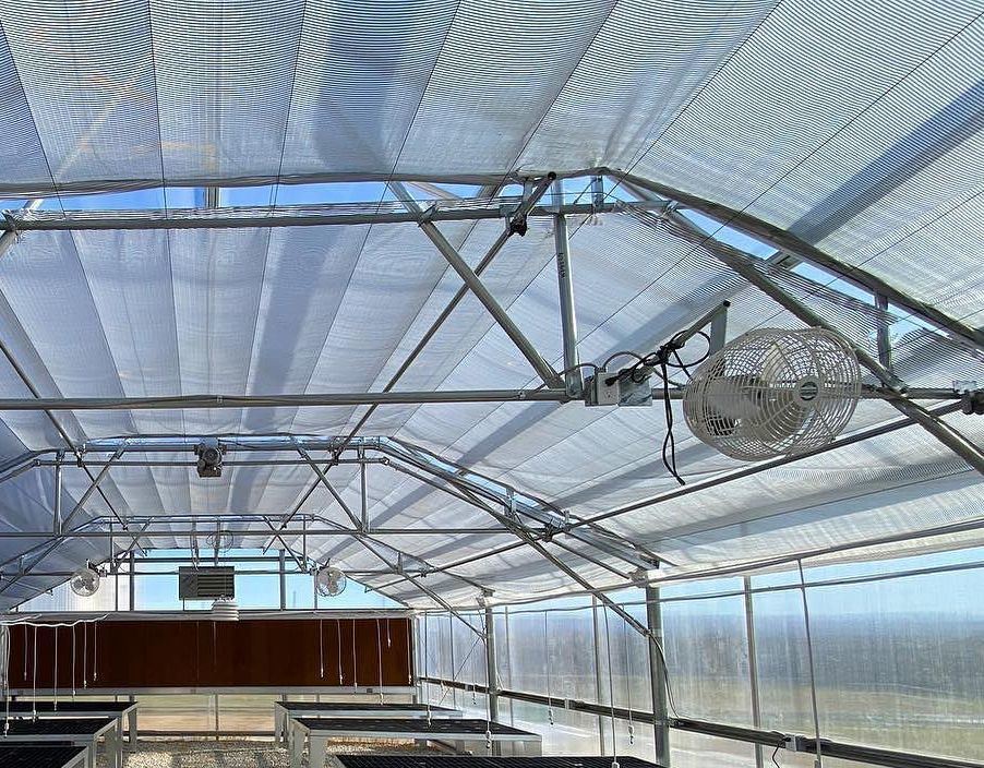 Customization Snow Vibrator Greenhouse for Tomato Planting