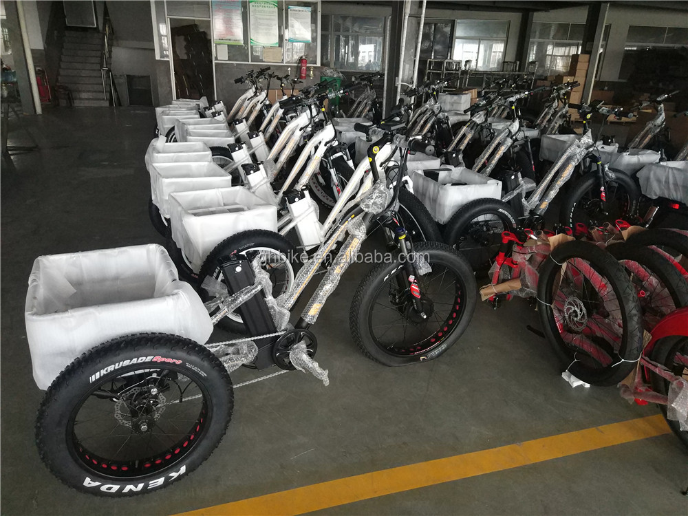Disc Brake 750W Electric Cargo Tricycle Fat Tire 3 Wheel E Trike for Long Range Travel
