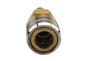 Quality 1/8 Inch BSPP Brass Quick Connect Hose Fittings wholesale