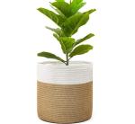 Wholesale Handmade Design Decorative Small Woven Grey Cotton Rope Baskets For