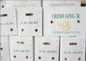 Quality 30lbs Fresh Ginger PP Fluted Corrugated Plastic Box wholesale