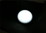 Energy Saving Plastic LED Bulkhead Lamp , 6500K Outdoor Corridor Surface Mounted