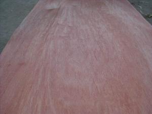 Quality Rotary Cut/Peeled Bintangor Wood Veneer Sheet wholesale