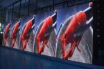 P3 Full Color Indoor/Outdoor Advertising LED Display Screen, LED Video Wall