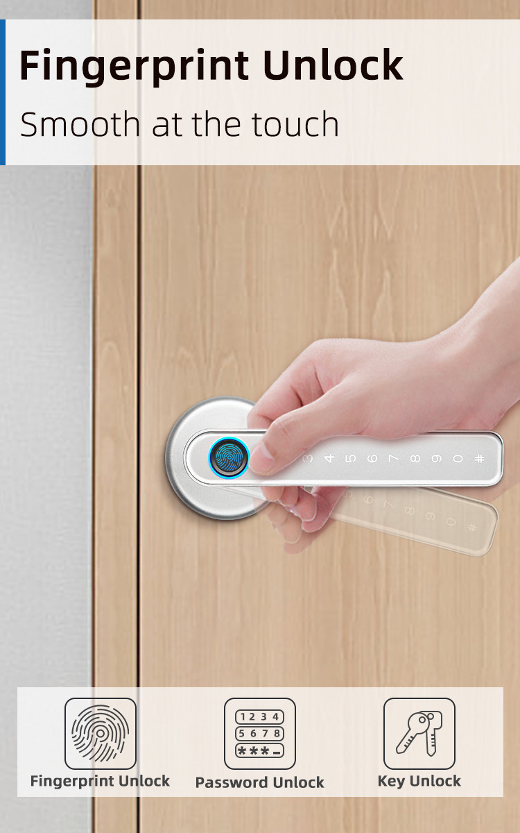 TUYA Bluetooth Smart Handle Door Lock Anti Corrosion Fingerprint Handle Lock