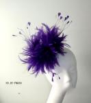 Dyed Hackle And Coque Feather Mounts , Chicken Flower Feather Headband