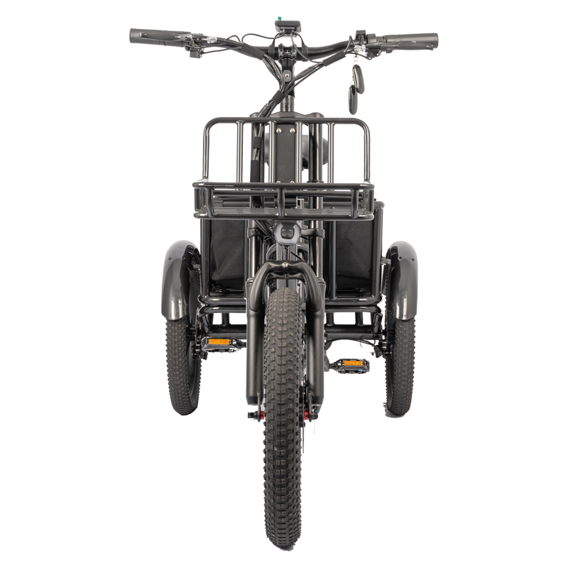 Customized Color Electric Fat Tire ebike 48V 500W Motor LCD Display Family Cargo Bike