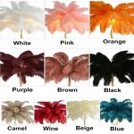 Bedroom Lighting Decoration Wine Red Ostrich Feather Lamp
