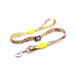 Quality 7.62m 25 Foot Nylon Anti Pull Dog Leash Around Chest Mouth Waist wholesale