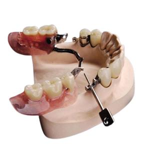 Quality Mk1 Precision Attachment Denture Beautiful Natural Corrosion Resistant wholesale