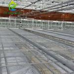 Insulated Automatic Agricultural Glass Greenhouse Commercial Turnkey Hydroponic