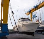 Wireless Remote Marine Hoist Crane 5m/Min Customized