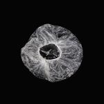 Disposable PE Shower Cap