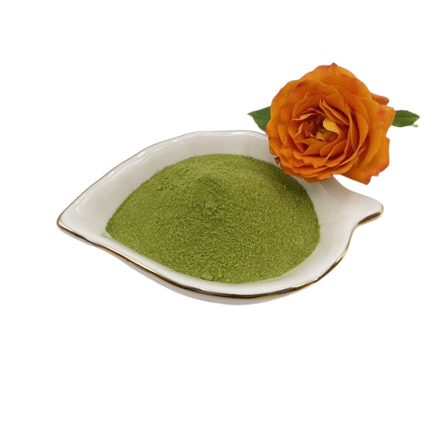 Seaweed Extract Green Natural Fertilizer for Healthy and Nutritious Crops