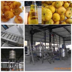 Quality Industrial Cili Fruit Juice Production Line 380V / 220V For Pear Processing wholesale