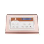 Electric Permanent Makeup Machine , Digital Eyebrow Tattoo Machine CE FDA