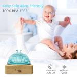 Solid Wood Glass Aroma Diffuser▕ DN-839